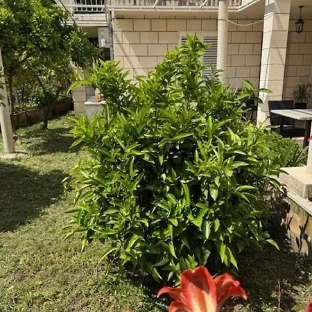 Katarina Casa de hóspedes 3*